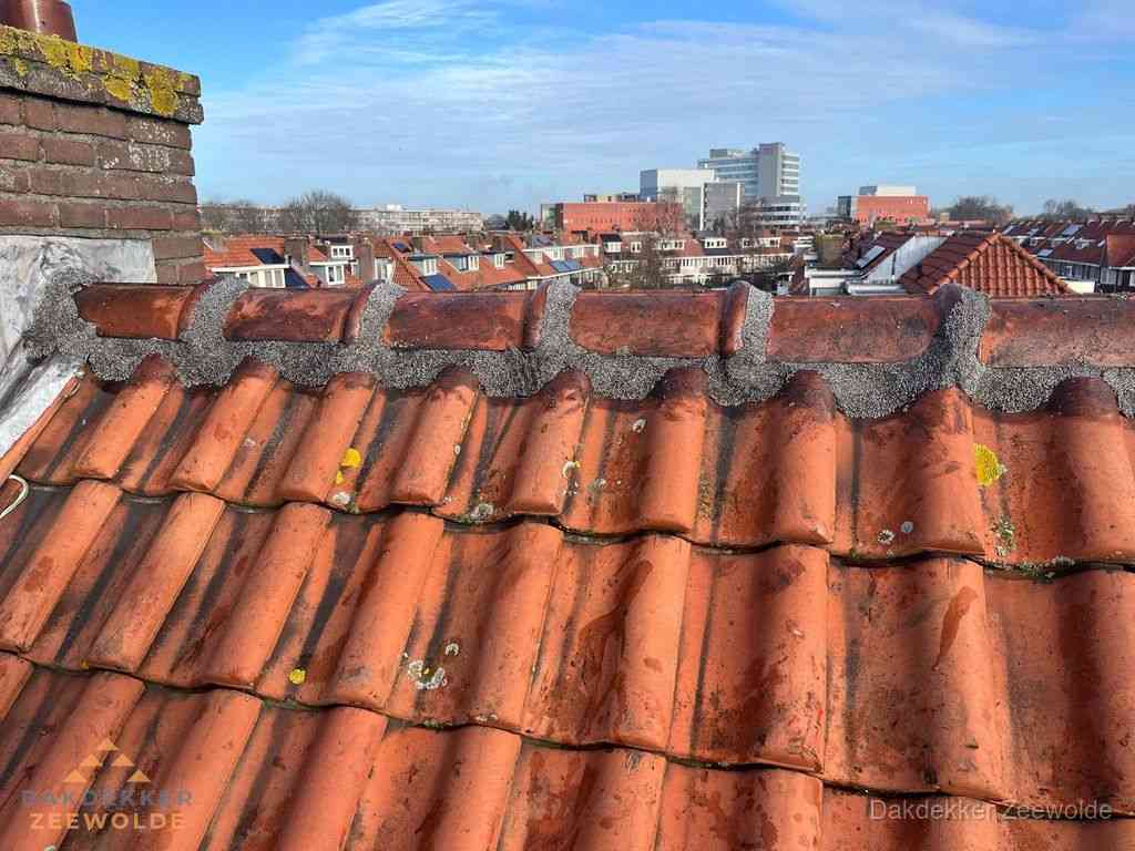 Zeewolde Daken Renoveren Zeewolde Daken Renoveren